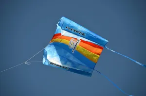 0.75m Large Kite Outdoor Kids Activity - 165ft Flying Line - Safe Strong Reliable Durable Summer Family Fun Toy Games