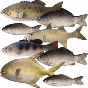 8 Pcs Realistic Fake Fish Toy 6 Types Lifelike Stuffed Artificial Fish Models for Photography Props Party Favor Display Kitchen Decor