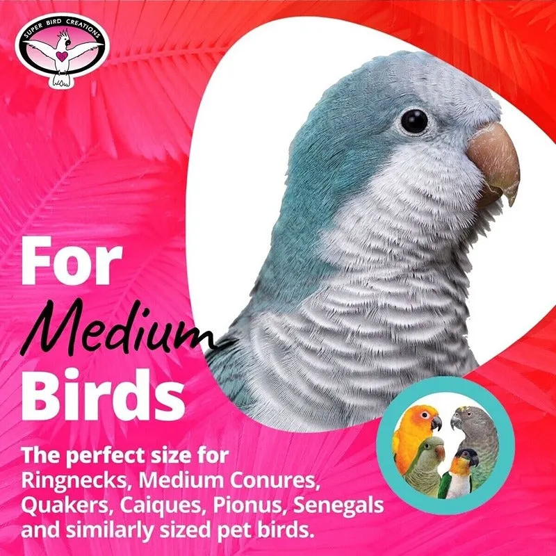 Beaky Beads Bird Toy