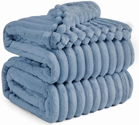 Bedsure Queen Blanket for Bed - GentleSoft Cozy Soft Blankets for Women, Cute Large Fall Throws for Girls, Ashley Blue, 90x90 Inches