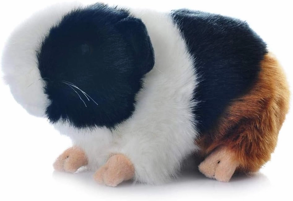 Cute rabbit 8 inch Guinea Pig Plush Toy Stuffed Animal Toy Plush Animal Doll (Black Orange)