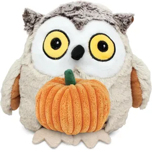 DolliBu Super Soft Fat Brown Owl Stuffed Animal with Pumpkin Decor and Name Personalization - Pumpkin Plush Animal for Fall, Halloween and Thanksgiving - 10 Inches