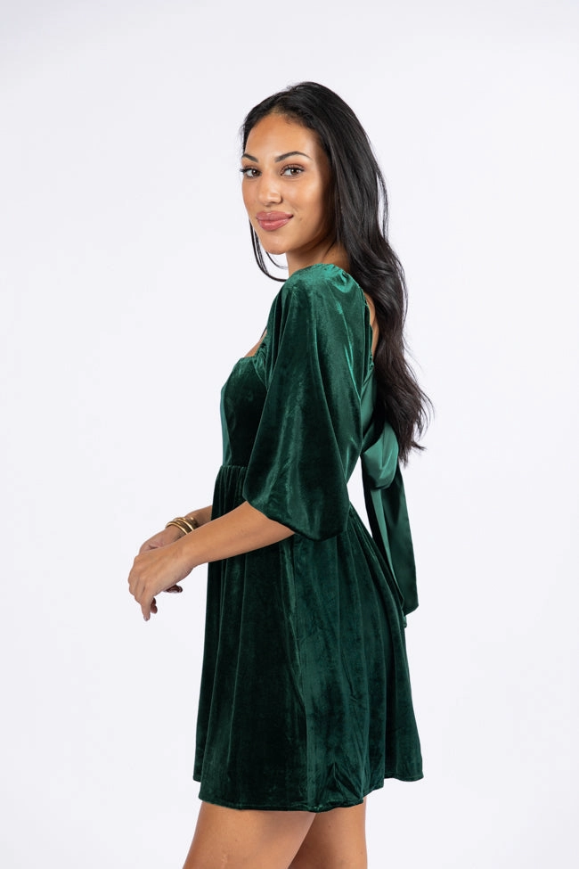Evergreen Beauty Velvet Dress FINAL SALE