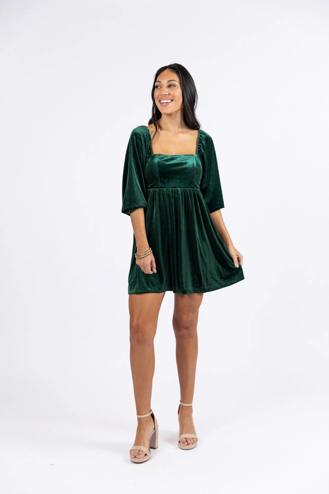 Evergreen Beauty Velvet Dress FINAL SALE