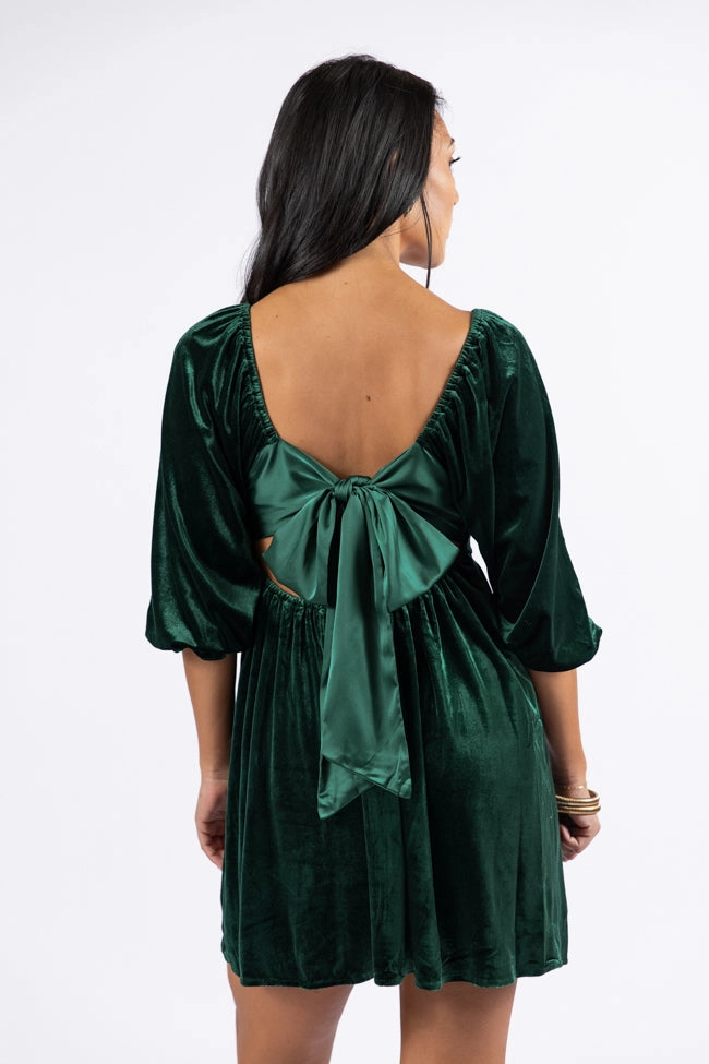 Evergreen Beauty Velvet Dress FINAL SALE