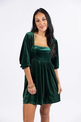 Evergreen Beauty Velvet Dress FINAL SALE