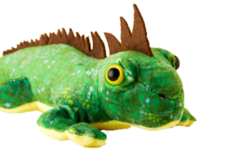 Green Chameleon 50cm