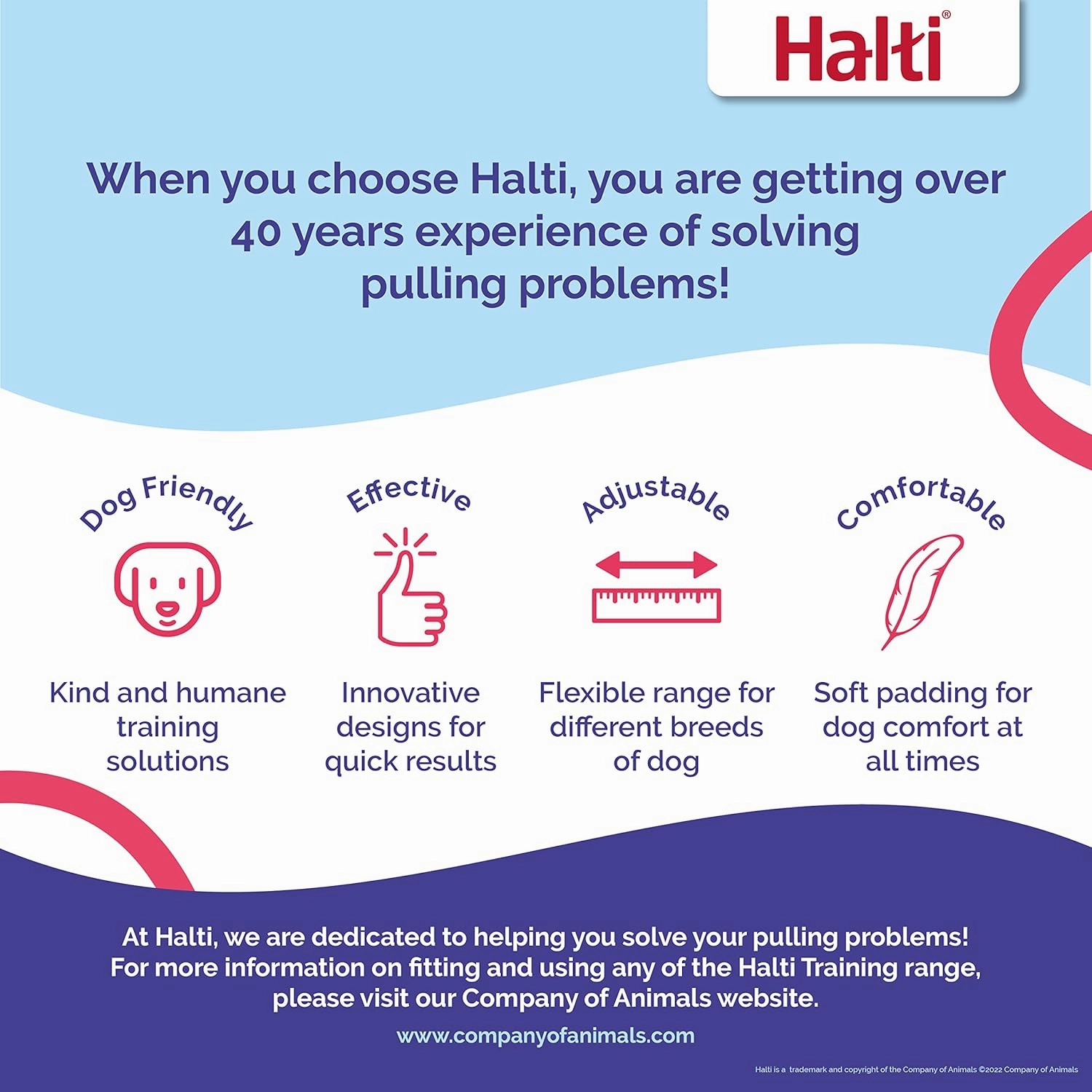HALTI Headcollar - to Stop Your Dog Pulling on The Leash. Adjustable, Reflective and Lightweight, with Padded Nose Band. Dog Training Anti-Pull Collar for Medium Dogs (Size 3, Cobalt Blue)