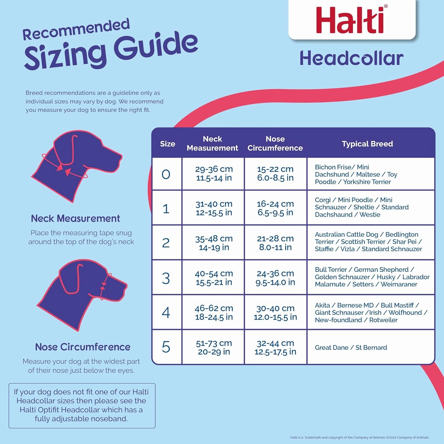 HALTI Headcollar - to Stop Your Dog Pulling on The Leash. Adjustable, Reflective and Lightweight, with Padded Nose Band. Dog Training Anti-Pull Collar for Medium Dogs (Size 3, Cobalt Blue)