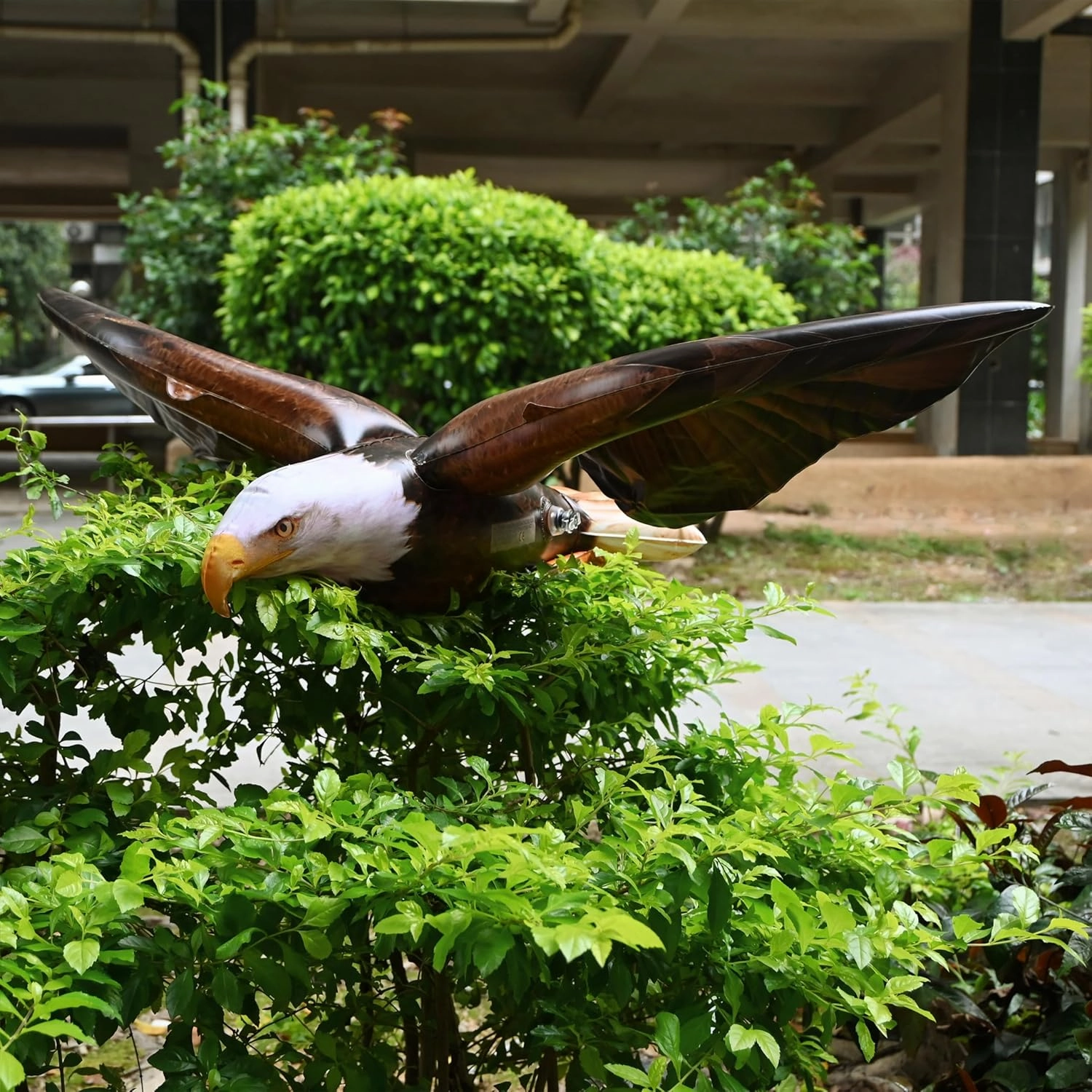 Jet Creations 38" Wingspan Inflatable Bald Eagle, Dark Brown, Realistic Wild Animal Figure, Patriotic Bird, Theme Parties, Pool Fun, Home Yard Décor