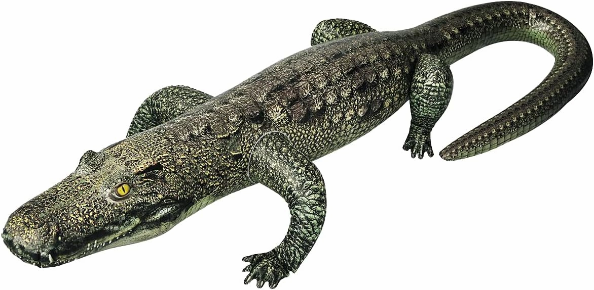 Jet Creations Life on Earth Wildlife Safari Inflatable, 3-PK, Kangaroo(30"), Kiwi Bird(15"), Alligator(49"), Realistic Animals for Party Decoration, Pool, Birthday, Jungle Photo Prop