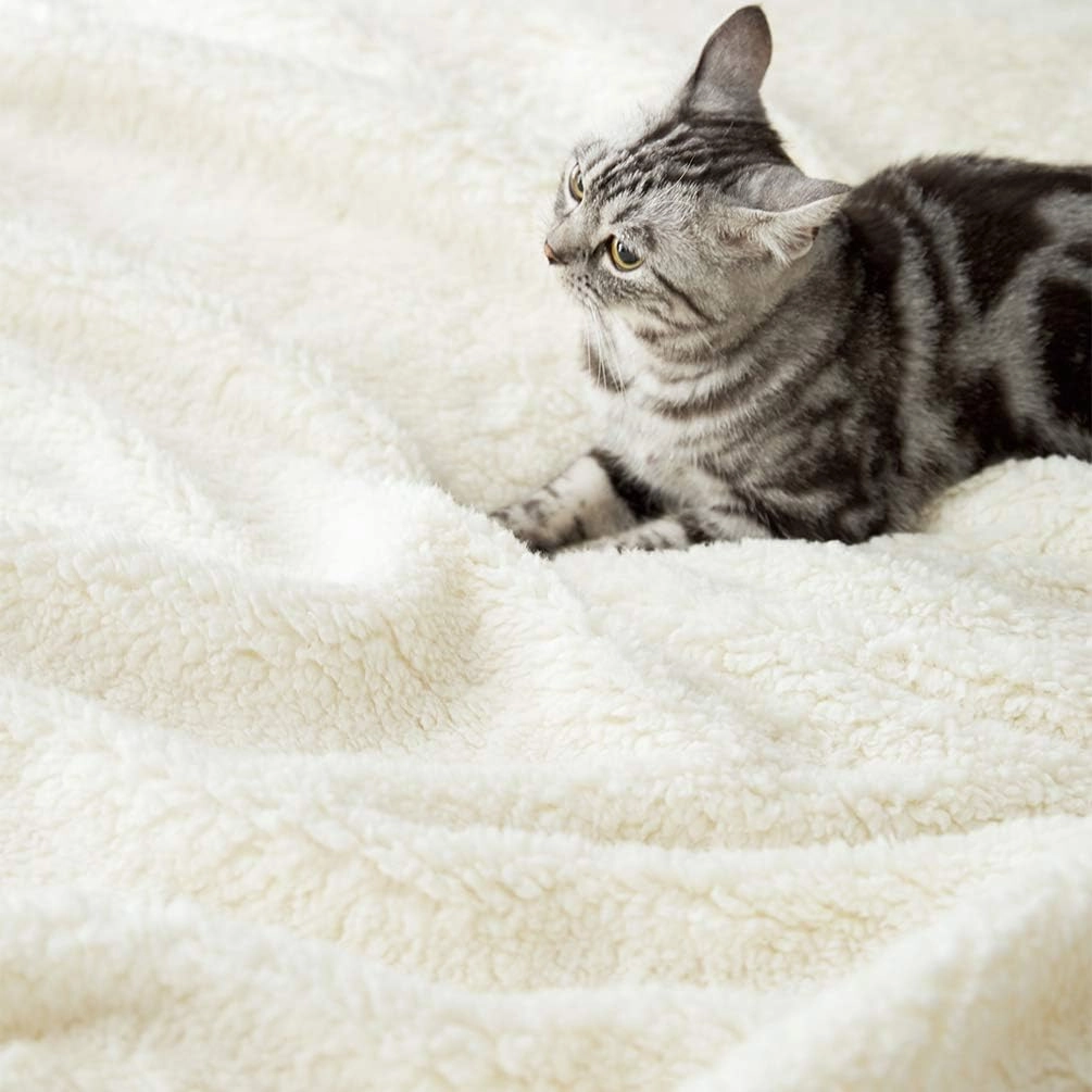LBRO2M Sherpa Fleece Bed Blanket King Size Super Soft Fuzzy Plush Warm Cozy Fluffy Microfiber Couch Throw Velvet Double Reversible Blankets,Dark Grey