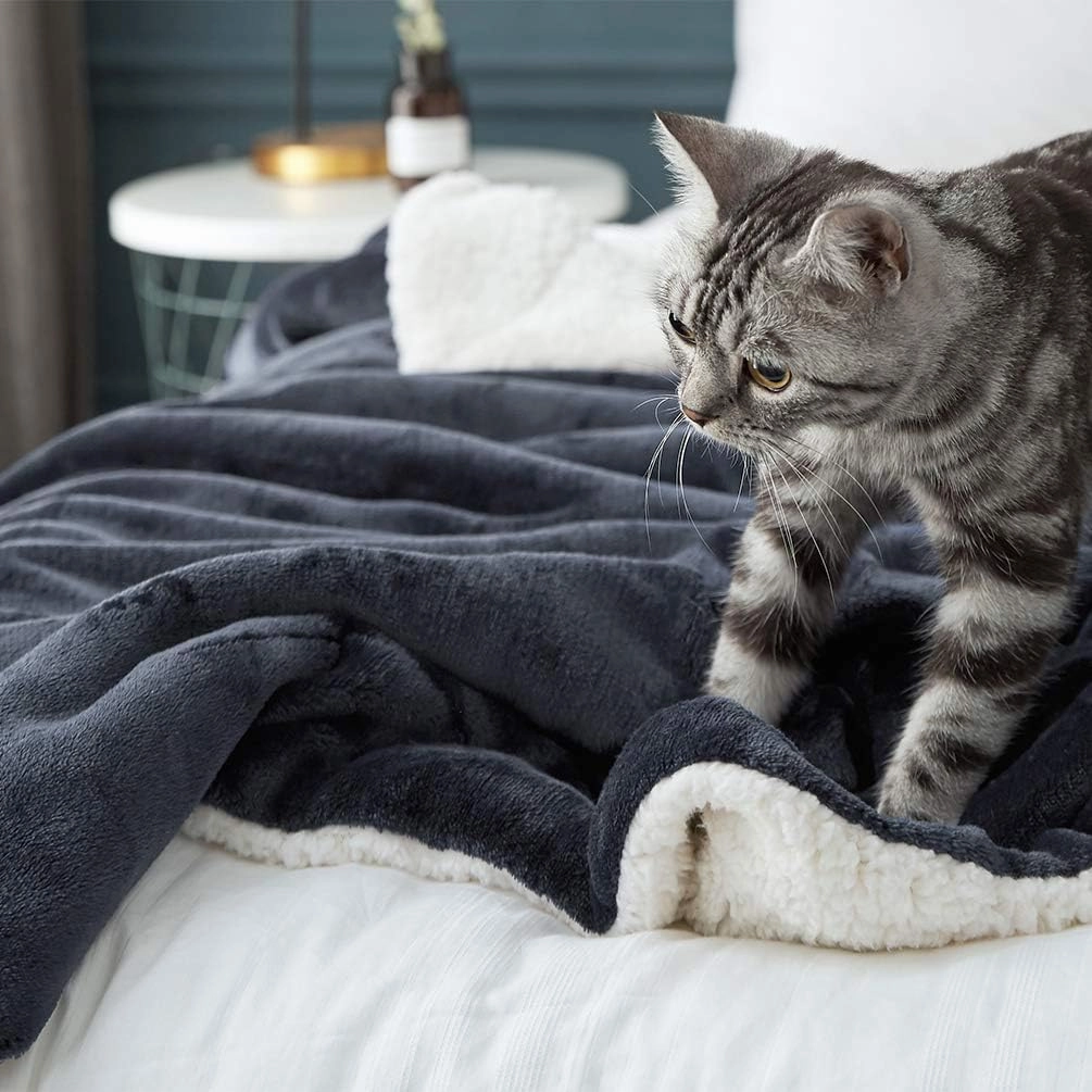LBRO2M Sherpa Fleece Bed Blanket King Size Super Soft Fuzzy Plush Warm Cozy Fluffy Microfiber Couch Throw Velvet Double Reversible Blankets,Dark Grey