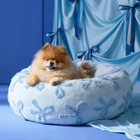 Lesure Donut Small Dog Bed - Round Cat Beds for Indoor Cats Anti-Anxiety Calming Pet Beds, Washable Cute Modern Beds with Teddy Sherpa Plush & Anti Slip Bottom, 23 Inch, Ice Melt