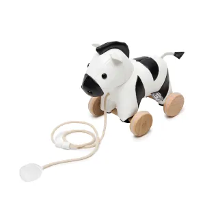 Little Big Friends Pull Along Animal Toy – Robert the Zebra