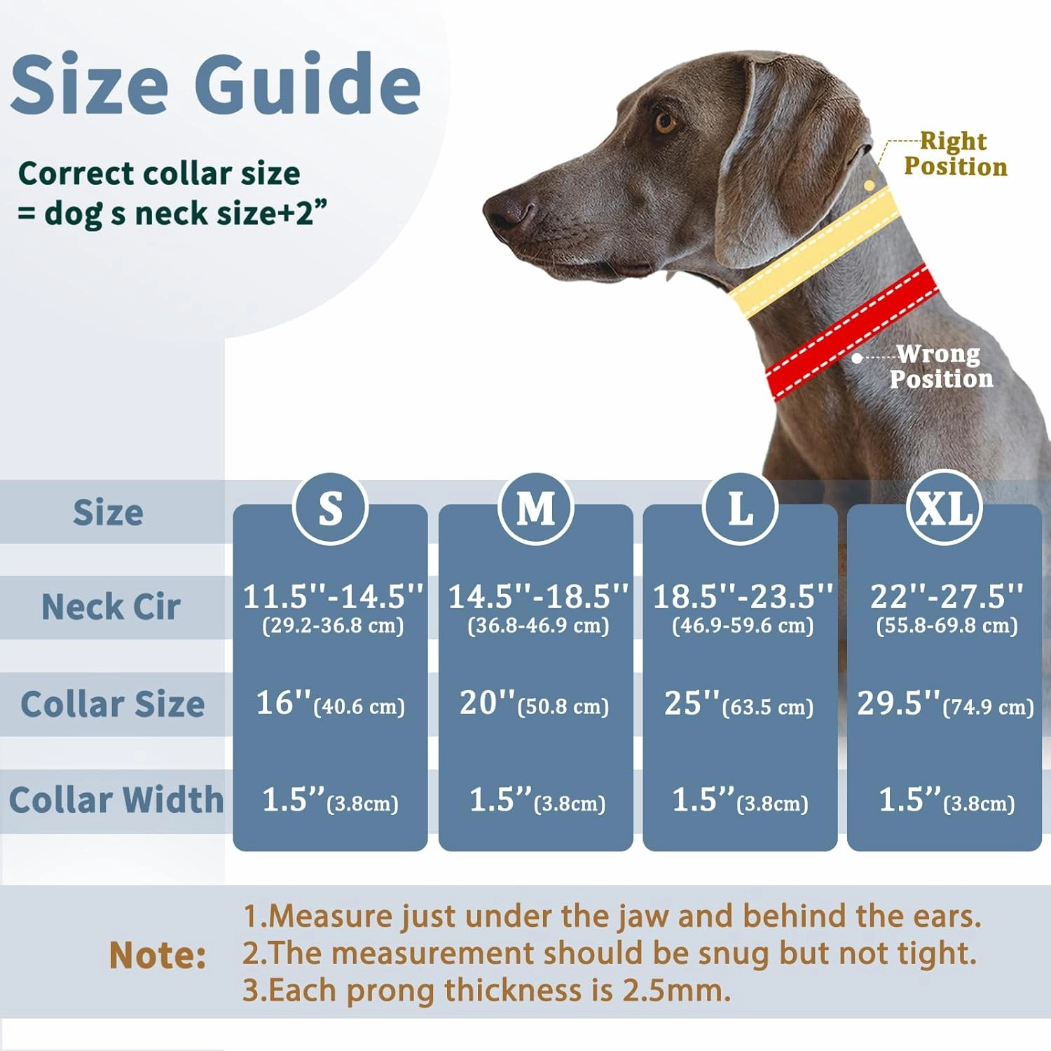 Mayerzon Dog Collar, Patented Martingale No Pull Collar for Small Medium Large Dogs with Buckle for Walking Training, Hidden Design, Adjustable(XL, Black)