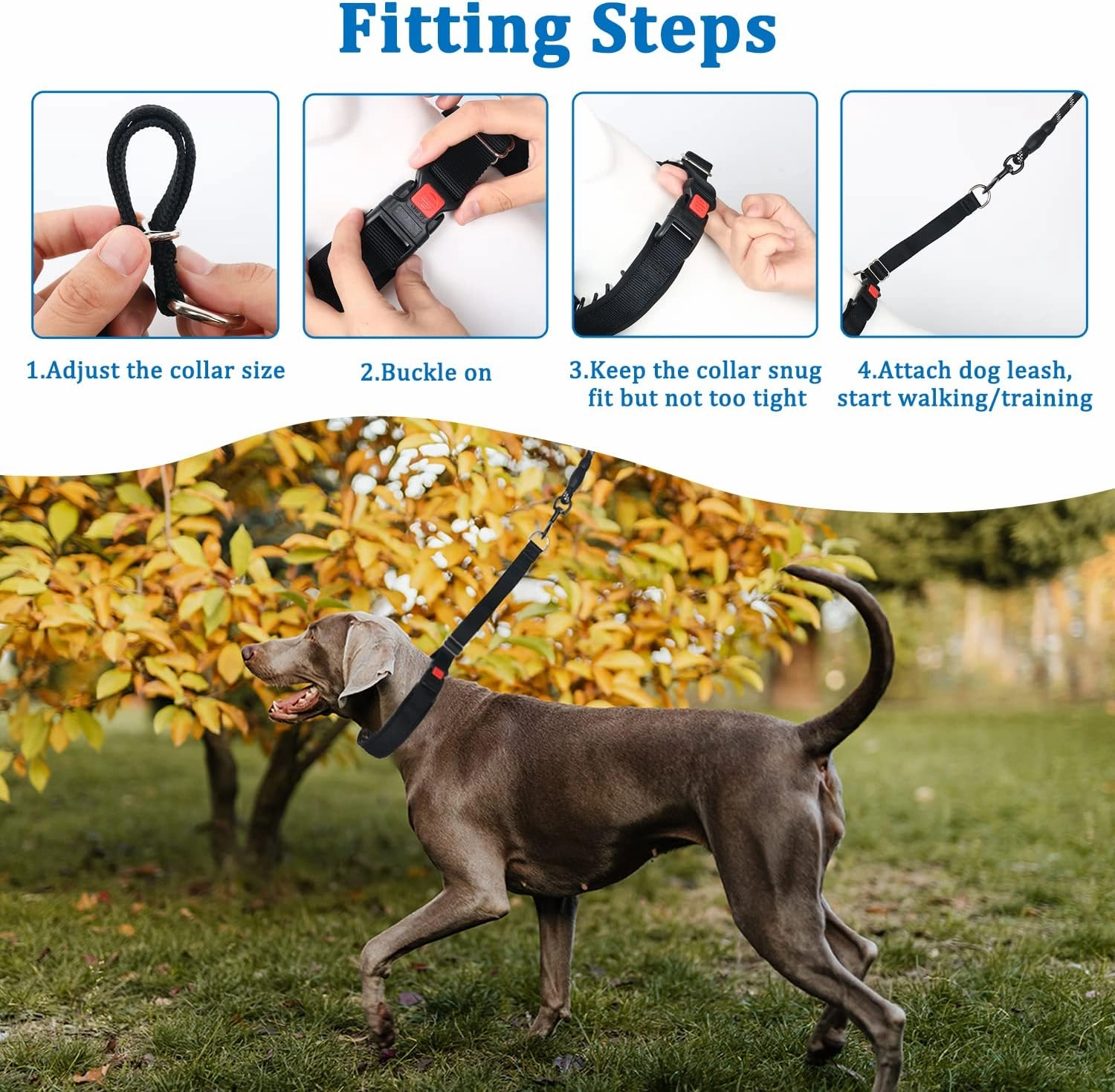 Mayerzon Dog Collar, Patented Martingale No Pull Collar for Small Medium Large Dogs with Buckle for Walking Training, Hidden Design, Adjustable(XL, Black)