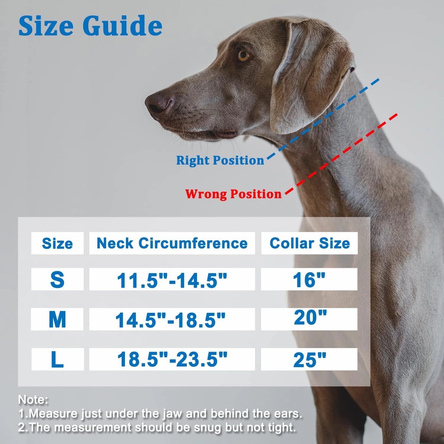 Mayerzon Martingale Collar for Small Medium Large Dogs, Patented Anti Pull Dog Collar with Reflective Strip and Buckle for Walking Training, Safe for Night Walk(M, Blue)