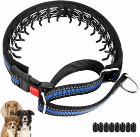 Mayerzon Martingale Collar for Small Medium Large Dogs, Patented Anti Pull Dog Collar with Reflective Strip and Buckle for Walking Training, Safe for Night Walk(M, Blue)