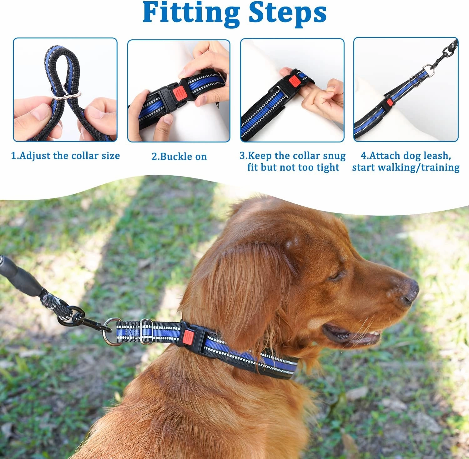Mayerzon Martingale Collar for Small Medium Large Dogs, Patented Anti Pull Dog Collar with Reflective Strip and Buckle for Walking Training, Safe for Night Walk(M, Blue)