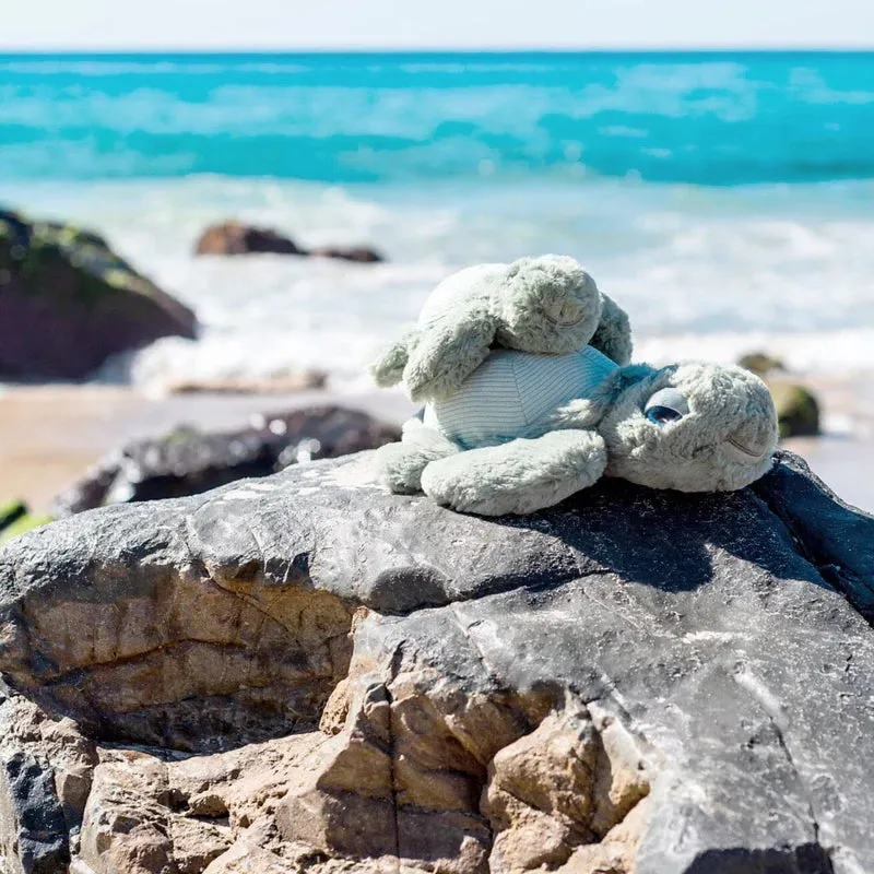 OB Deigns| Little Tyler Turtle Soft Toy