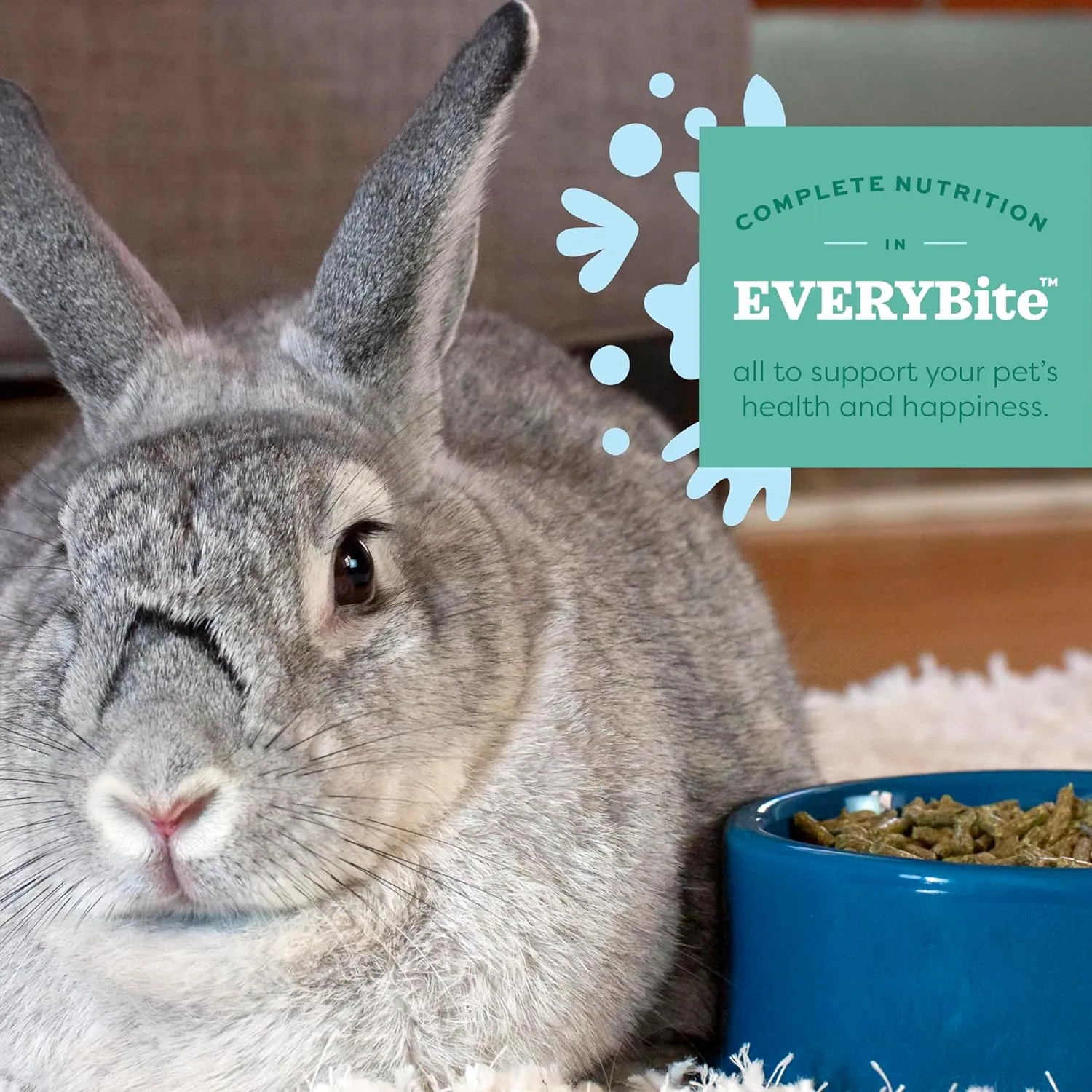 Oxbow Garden Select Rabbit Food, Adult, Made Timothy Hay for Rabbit, Bunny Food Pellets, Non-GMO, No Soy or Wheat, Small Animal Pet Products, Made in USA, High Fiber, 8 lb. Bag
