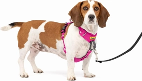 PetSafe Easy Walk Comfort No-Pull Dog Harness Full-Body Padding - Better Walks on The First Use - 5 Points of Adjustment Small/Medium, Pink