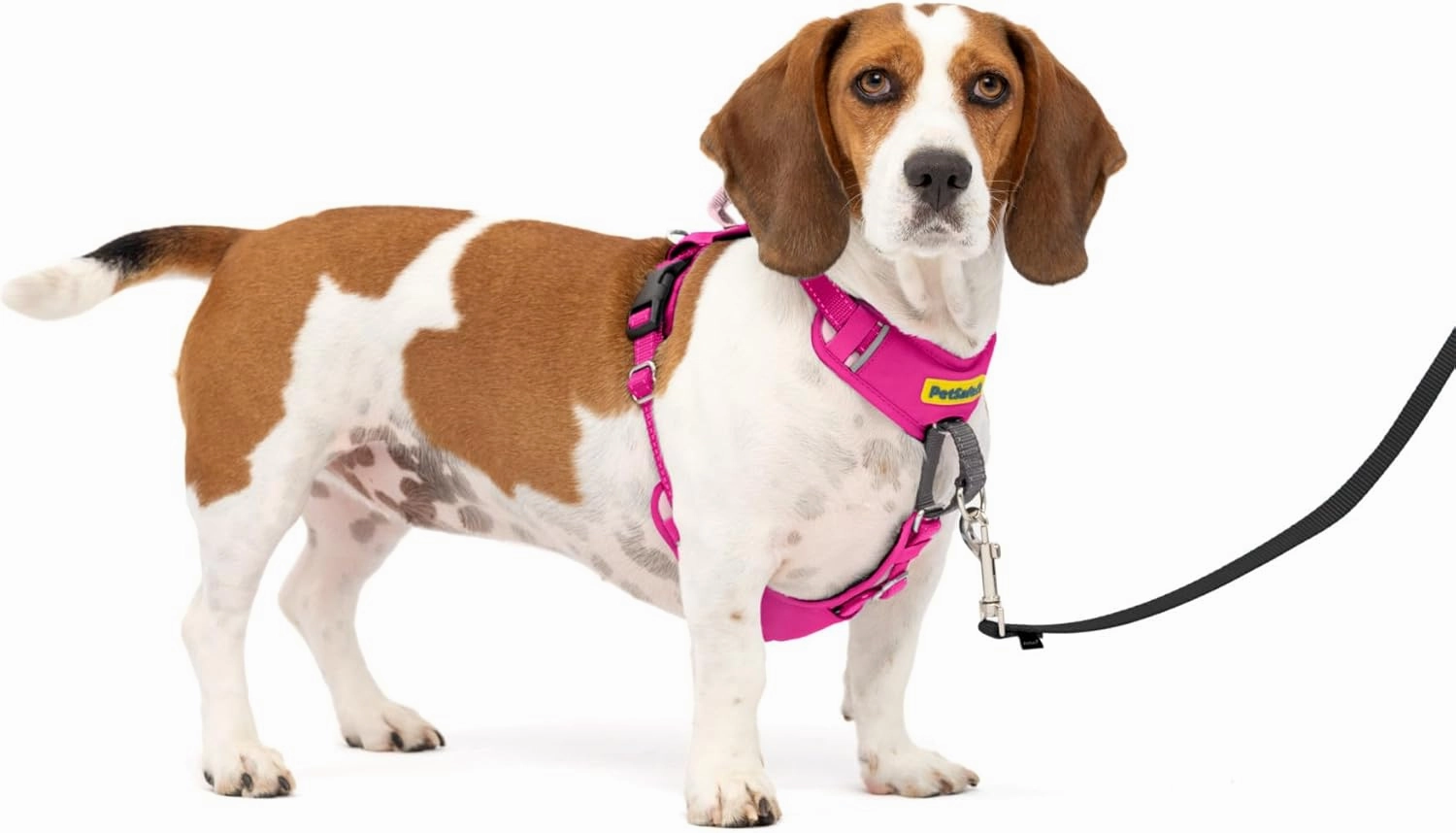 PetSafe Easy Walk Comfort No-Pull Dog Harness Full-Body Padding - Better Walks on The First Use - 5 Points of Adjustment Small/Medium, Pink