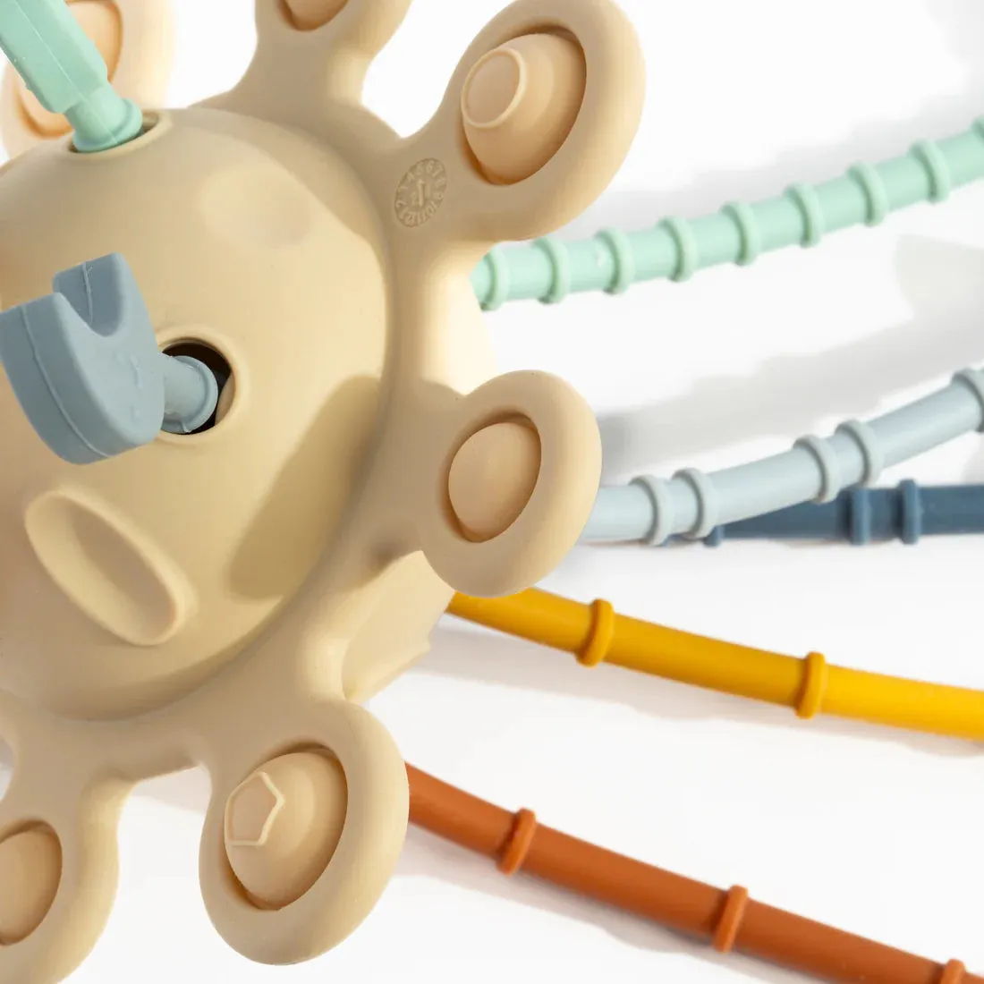 Pull String Interactive Toy