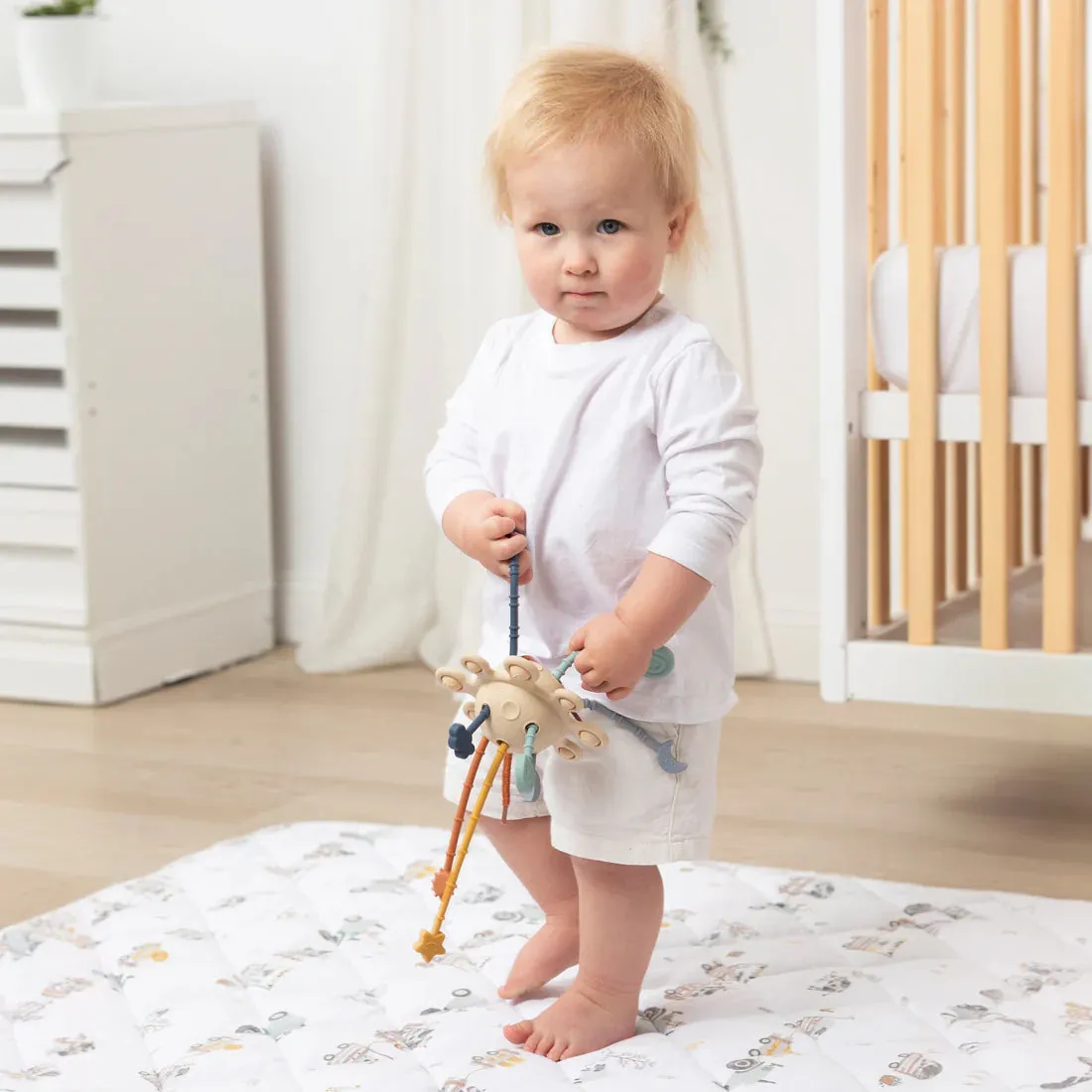 Pull String Interactive Toy