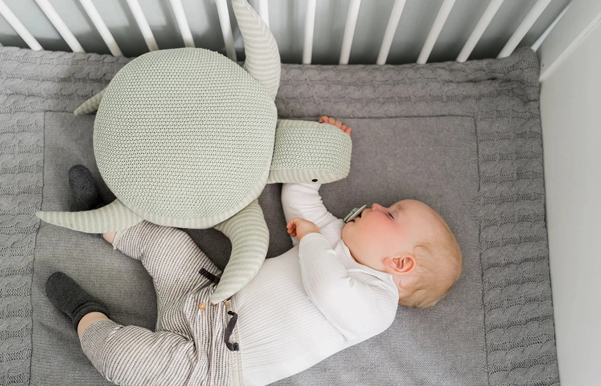 Soft Toy Turtle Tommy