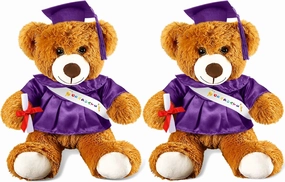 Sotiff 2 Pcs Graduation Bear Plush Stuffed Toy Bear Graduation Gifts Doll Stuffed with Grad Cap for Preschool Kindergarten College Gift(14 Inch,Brown, Purple)