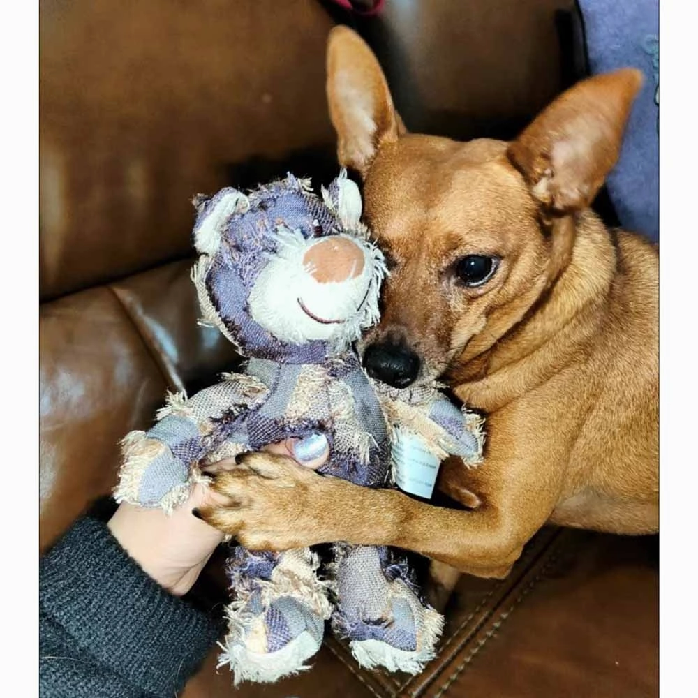 Squeaky Bear Plush Dog Chew Toys