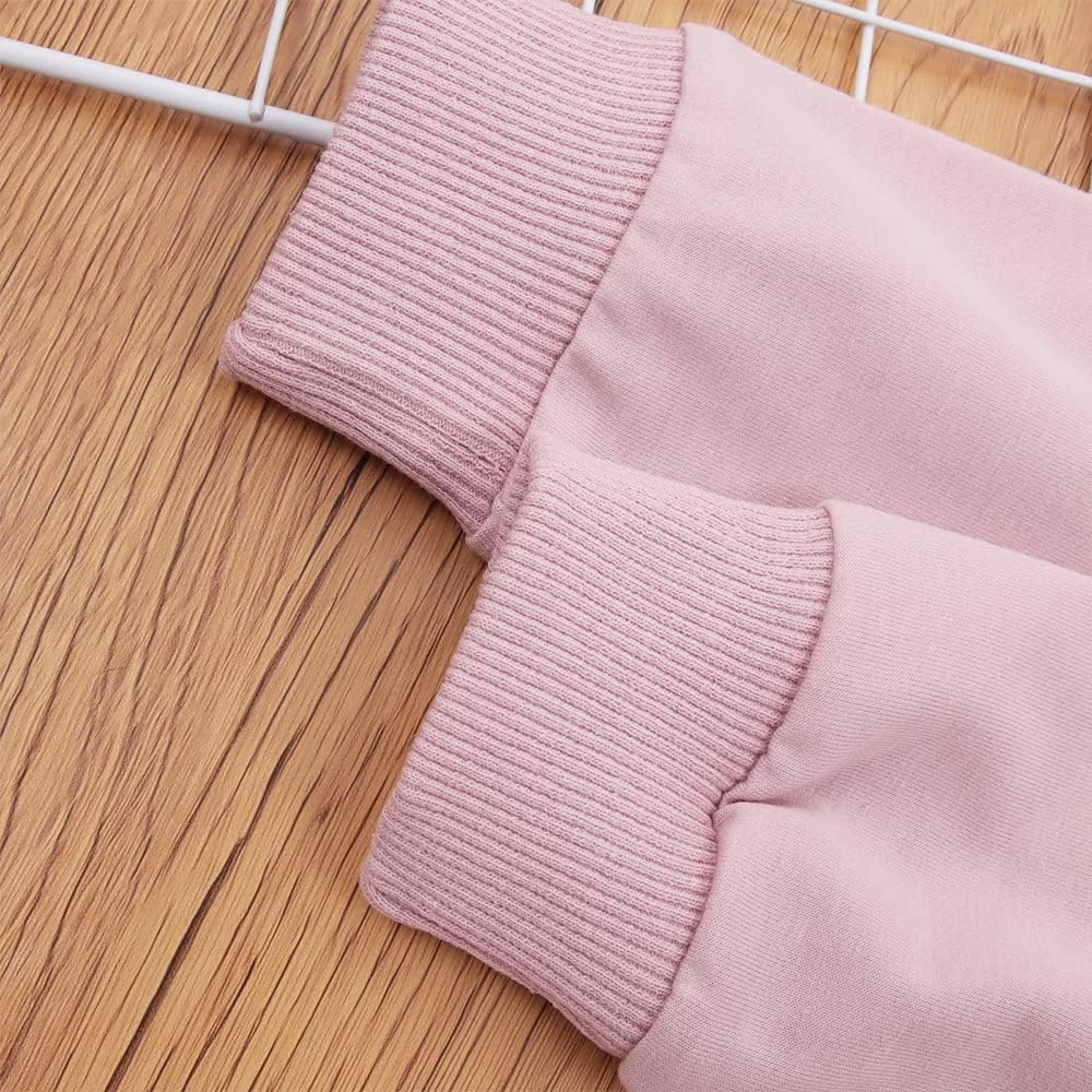 Toddler Baby Girl Leopard Fall Clothes Long Sleeve Pullover Crew Neck Top Sweatshirt Pants Casual Winter Outfits