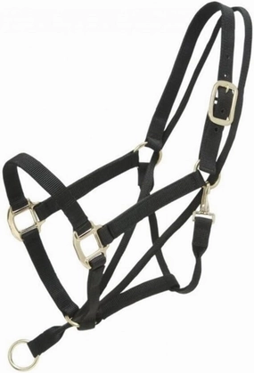 Tough 1 Pull-Back Halter Horse Black