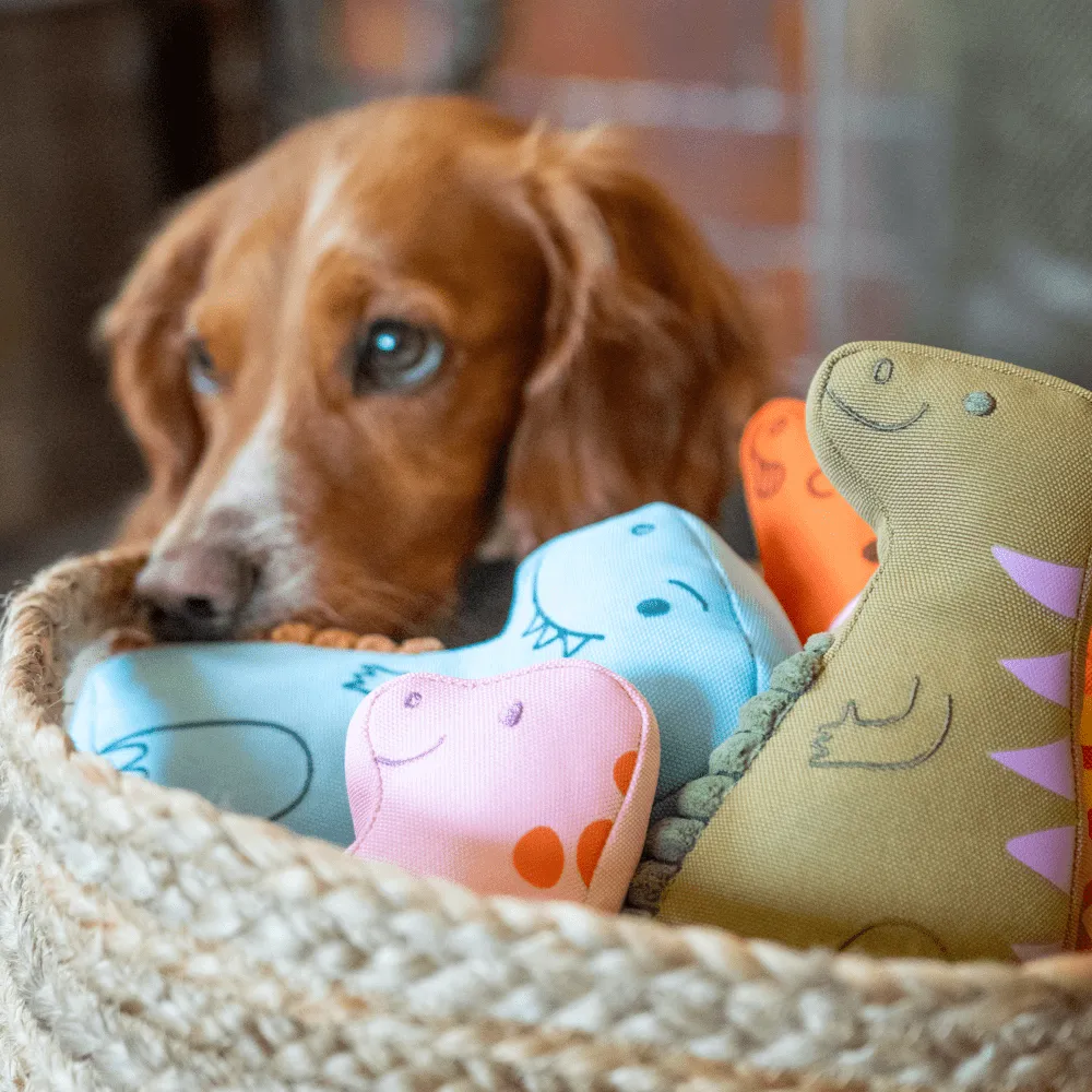 Triceratops Dinosaur Dog Toy