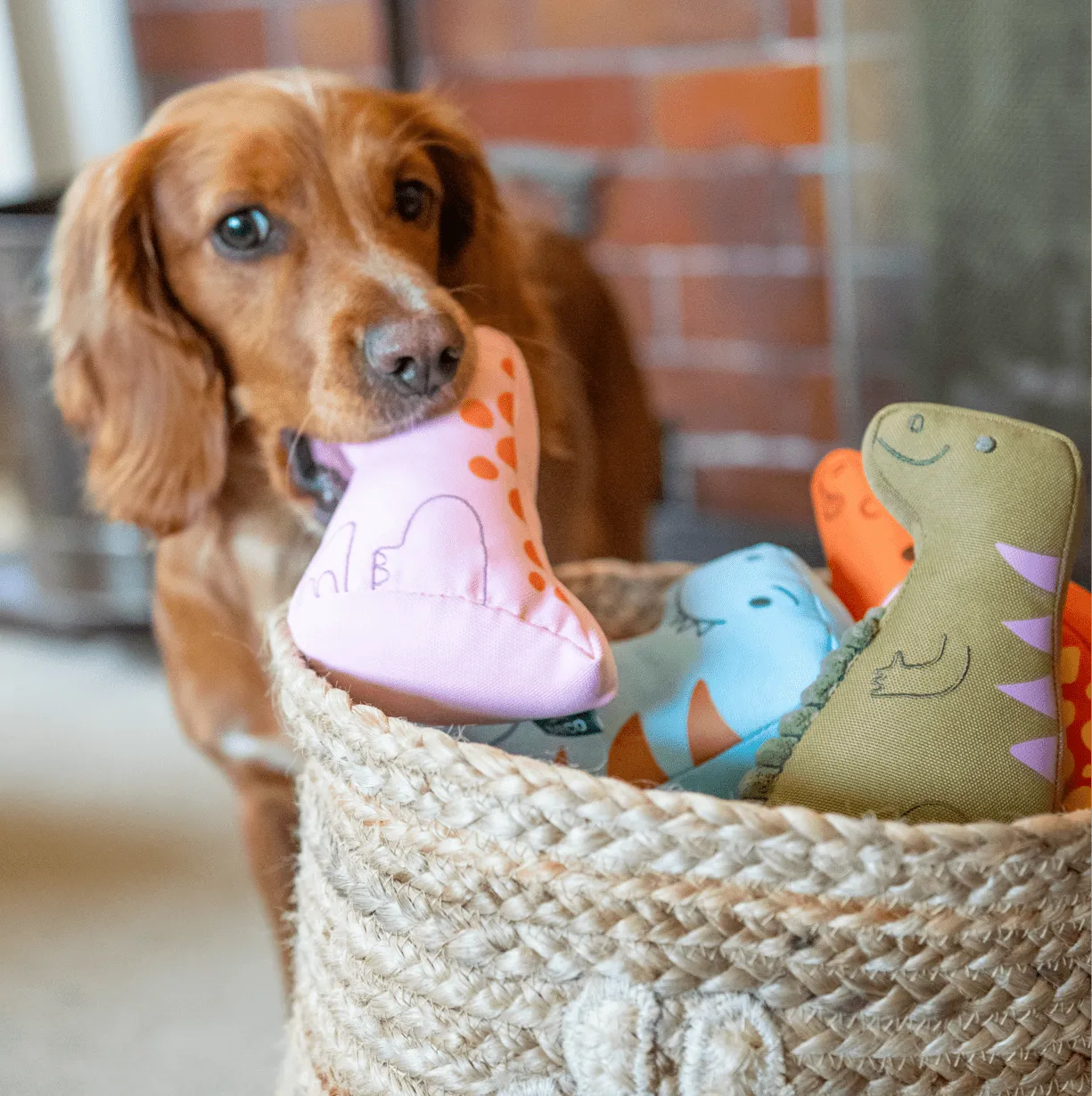 Triceratops Dinosaur Dog Toy