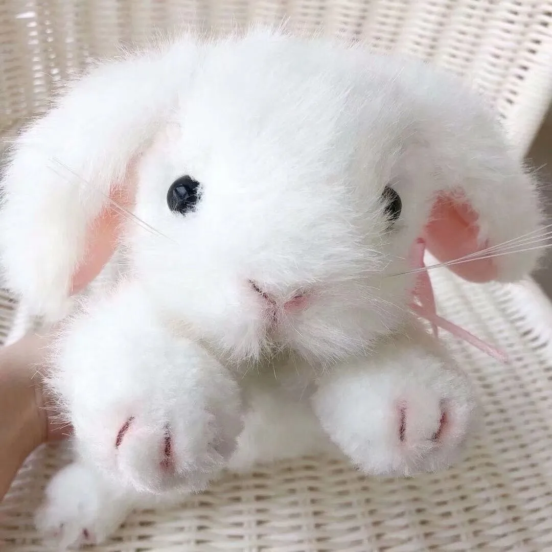 White Rabbit Bunny Stuffed Animal Plush