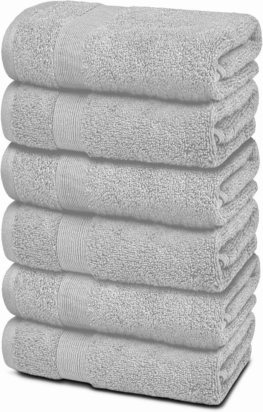White Classic Resort Collection Soft Hand Towels | 16x27 Luxury Hotel Plush & Absorbent Cotton Hand Towel [6 Pack, Dolphin Grey]