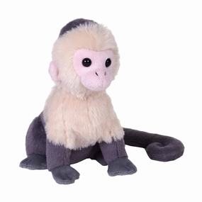 White Face Capuchin Mini Stuffed Animal 6" | Splendors White Face Capuchin by Wild Republic