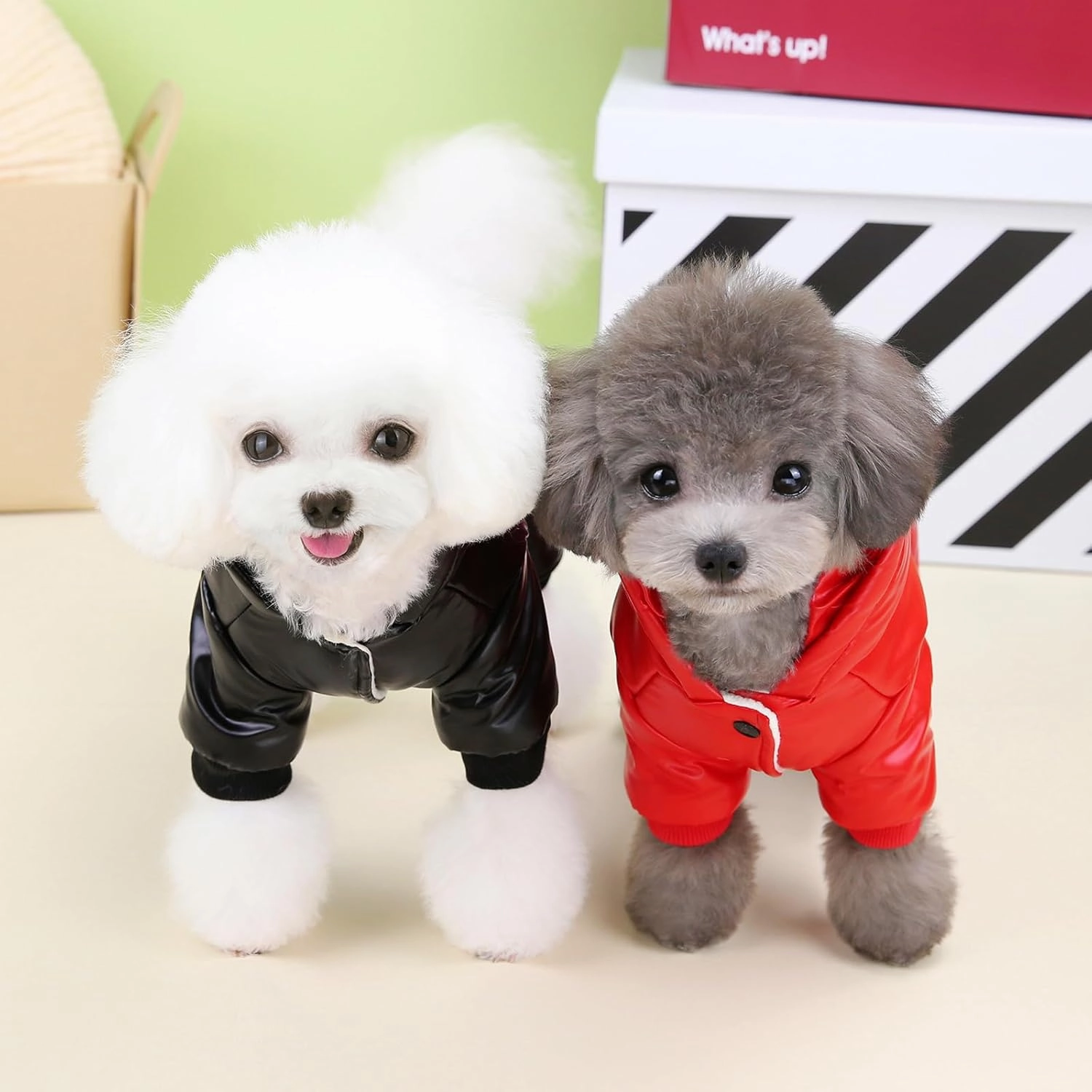 Windproof Dog Coat - 4 Legs Warm Jumpsuit for Cold Weather, Winter Thick Clothes, Snow Proof Cotton Jacket for Small Medium Dogs and Cats - Red M