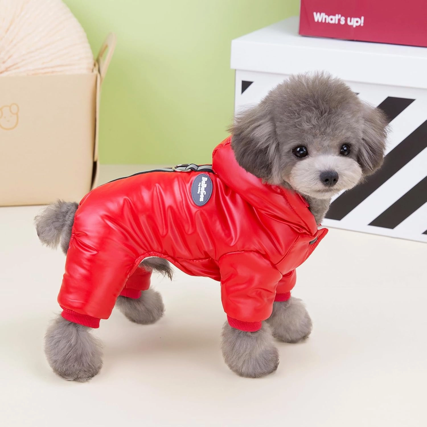 Windproof Dog Coat - 4 Legs Warm Jumpsuit for Cold Weather, Winter Thick Clothes, Snow Proof Cotton Jacket for Small Medium Dogs and Cats - Red M