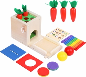 Wooden Montessori Toys Toddlers Play Kit, 4-in-1 Object Permanence Box, Coin Box, Carrot Harvest, Color Match Sticks Drop Game, Educational Learning Motor Skill Toys for Babies Kids 1 2 Years Old