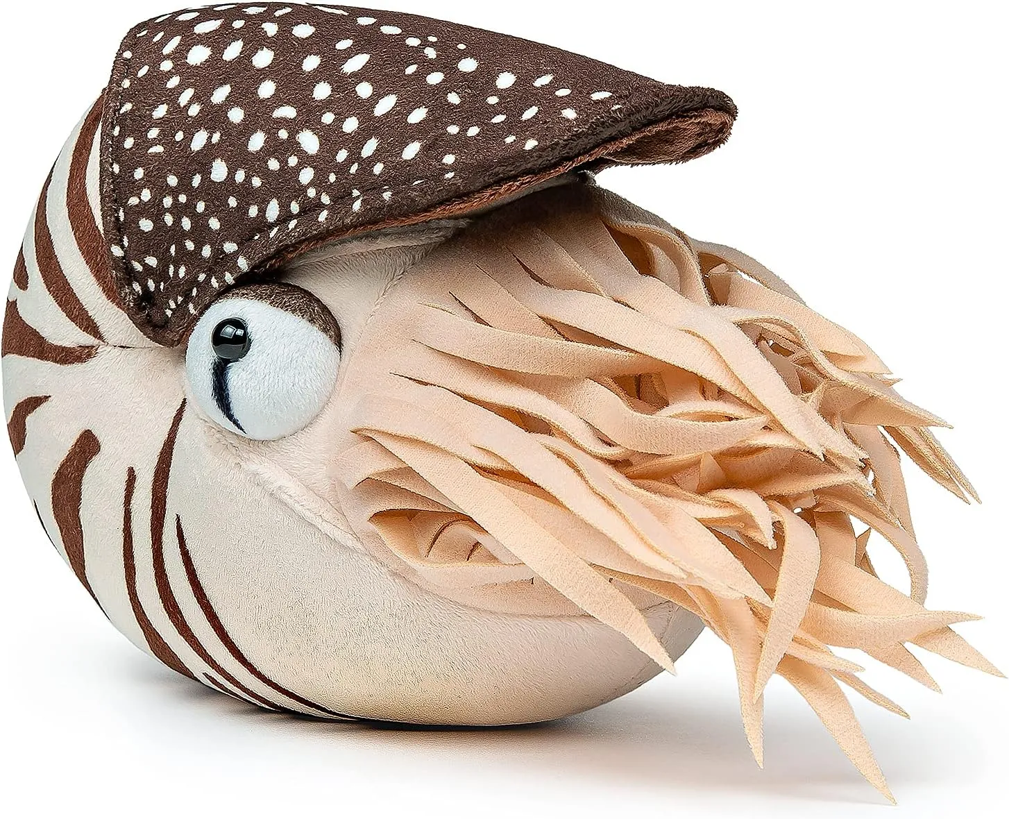 ZHONGXIN MADE Simulation Nautilus Plush Toy - Lifelike Real Life Chambered Nautilus Stuffed, Animal Toy Soft Sea Life Toys Gifts for Kids, 8 Inches
